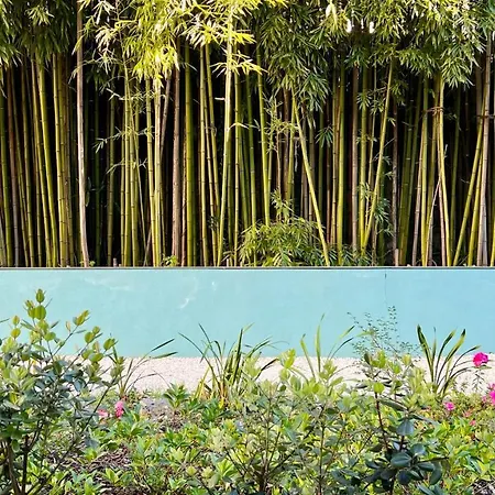 Jardim Da Batalha Boutique By Shiadu