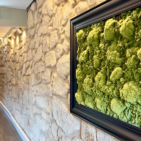 Jardim Da Batalha Boutique By Shiadu Hotel Porto