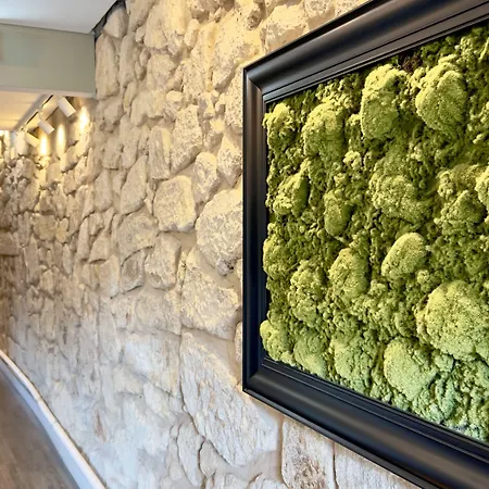 Otel Jardim Da Batalha Boutique By Shiadu Porto